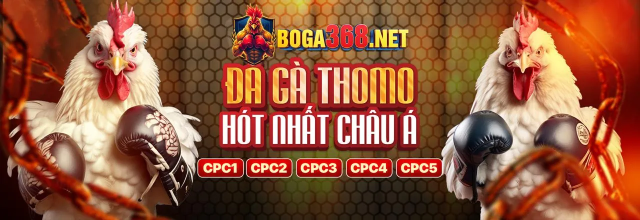 Chế độ chơi phong phú b66